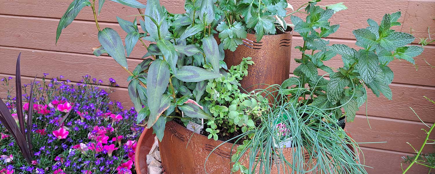 Herb spiral planter