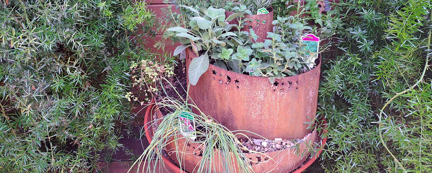 An herb spiral planter set among ferns